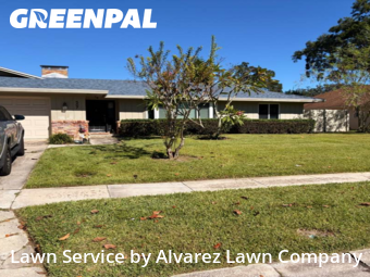 Yard Mowingin Altamonte Springs,32701,Lawn Mow by Alvarez Lawn Company, work completed in Nov , 2025