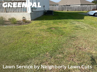 Lawn Cut nearby Pace, GA, 