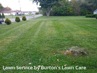 Weekly Mowing in Boardman, 44512, Yard Work by Burton's Lawn Care, work completed in Nov , 2025