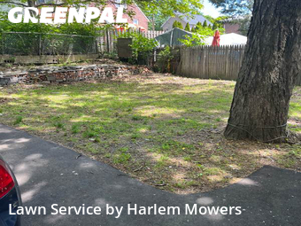 Lawn Mow nearby Belleville, NY, 