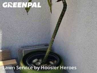 Grass Cut nearby Huntington Beach, CA, 