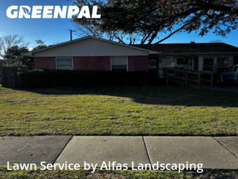 Grass Cuttingin Richardson,75080,Grass Cutting by Alfas Landscaping, work completed in Jan , 2026