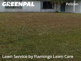 Landscaping In Cape Coral,33914,Landscaping Maintenance by Flamingo Lawn Care, work completed in Dec , 2025