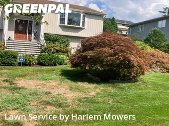 Lawn Cutting nearby New Rochelle, NY, 