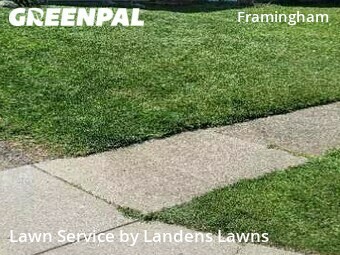 Grass Cut nearby Columbus, OH, 