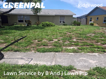Lawn Care nearby New Port Richey, FL, 