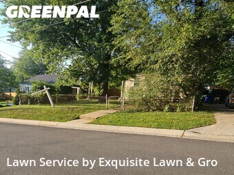Grass Cut nearby Silver Spring, DC, 