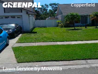 Grass Cutting nearby Tampa, FL, 
