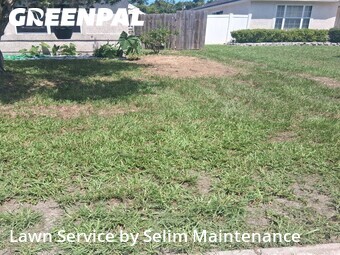 Lawn Mow nearby St. Augustine, FL, 