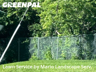 Grass Cut nearby Zion, IL, 