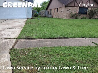 Grass Cut nearby Houston, TX, 