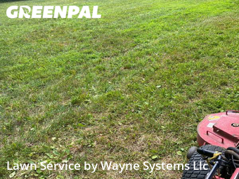 Grass Cutting nearby Columbia, MO, 
