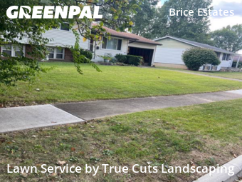 Lawn Mow nearby Reynoldsburg, OH, 