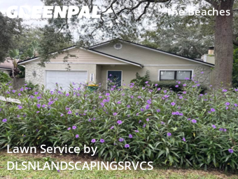 Yard Mowing nearby Jacksonville Beach, FL, 