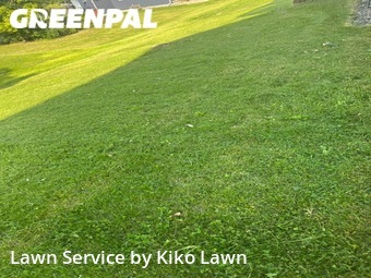 Lawn Care Service nearby Minneapolis, MN, 