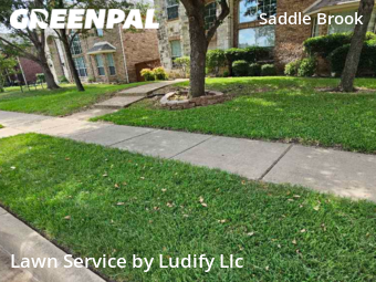 Lawn Mowing nearby Frisco, TX, 