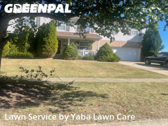 Lawn Service nearby Hamilton, OH, 