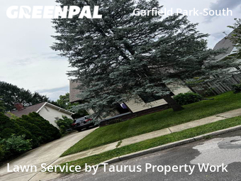 Grass Cut nearby Indianapolis, IN, 