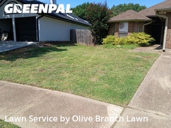 Yard Mowingin Keller,76248,Lawn Maintenance by Olive Branch Lawn, work completed in Dec , 2025