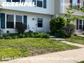 Grass Cut nearby Glen Burnie, MD, 