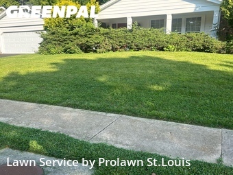 Grass Cutting nearby Chesterfield, MO, 