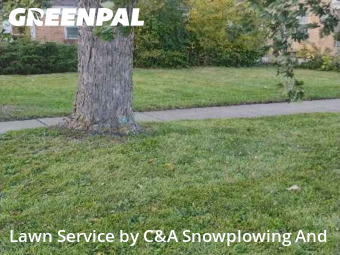 Weekly Mowing in Glenview, 60025, Yard Grooming by C&A Snowplowing And , work completed in Nov , 2025