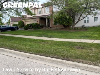 Lawn Cut nearby South Elgin, IL, 
