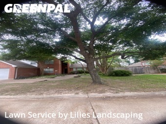 Grass Cut nearby Katy, TX, 