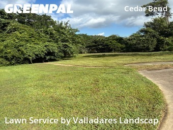 Lawn Cut nearby Baytown, TX, 