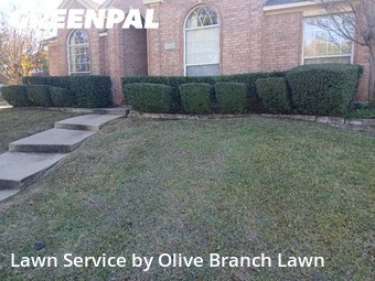 Lawn Carein Keller,76248,Grass Cut by Olive Branch Lawn, work completed in Feb , 2026