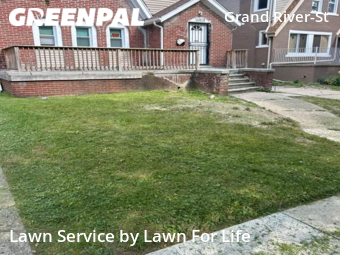 Grass Cut nearby Detroit, MI, 