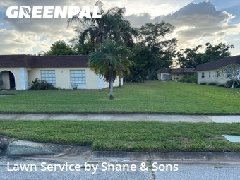 Grass Cut nearby Seminole, FL, 