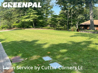 Lawn Mow nearby Birmingham, AL, 