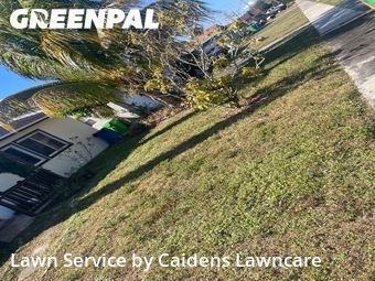 Grass Cut nearby Sunrise, FL, 