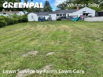 Lawn Maintenance nearby Toledo, OH, 