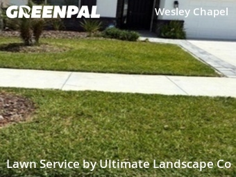 Lawn Service nearby Wesley Chapel, FL, 