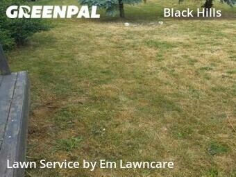 Yard Mowing nearby Grand Rapids, MI, 