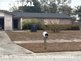 Lawn mowed in Brandon, 33511