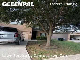 Grass Cut nearby San Antonio, TX, 