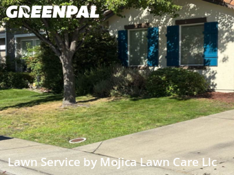 Work completed by the-yard-cutting-businesses-in-Rocklin-CA