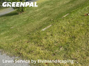 Yard Care Services in Parkville, 21234, Grass Services by Elvinlandscaping, work completed in Oct , 2025