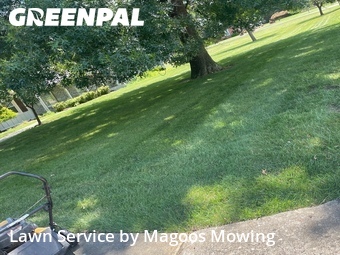 Lawn Maintenance nearby Kingsport, TN, 
