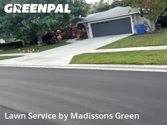 Yard Management in Royal Palm Beach, 33411, Lawn Upkeep by Madissons Green, work completed in Nov , 2025