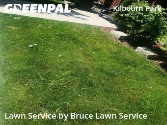 Lawn Cutin Chicago,60641,Lawn Mowing Service by Bruce Lawn Service, work completed in Jun , 2026