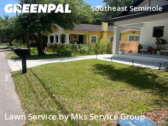 Grass Cut nearby Tampa, FL, 