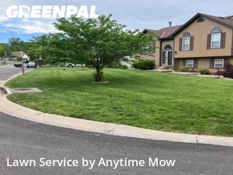 Lawn Care nearby Blue Springs, MO, 