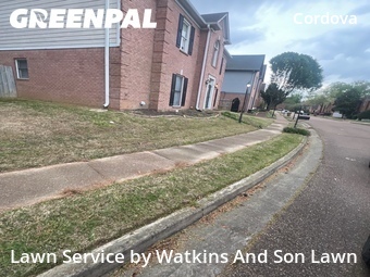 Lawn mowed in Cordova, 38018