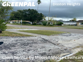 Grass Cutting nearby St. Petersburg, FL, 