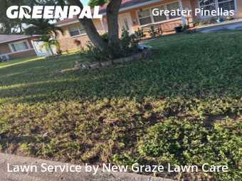 Lawn Mowin St Petersburg,33705,Lawn Maintenance by New Graze Lawn Care , work completed in Dec , 2025