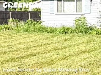 Lawn Cut nearby Lansing, MI, 